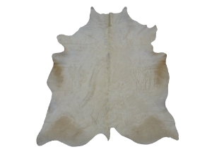 Cow Hide: Medium: Gallery Item 