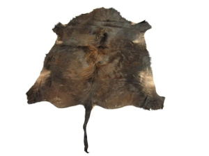 Cow Hide: Small: Gallery Item 