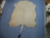 Cow Hide: X-Large: Gallery Item - 62-XL-HO101 (Y2PRD)