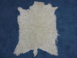 Sheared Angora Goatskin: #1: Large: White: Gallery Item 