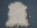 Angora Goatskin: #1: Medium: White: Gallery Item - 66-A1M-WH-G214 (Y2GXX)
