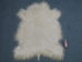 Angora Goatskin: #1: XX-Large: White: Gallery Item - 66-A1XXL-WH-G502 (Y2GXX)