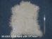 Deluxe Grade Angora Goatskin: Gallery Item - 66-ADU-G206 (Y2E)