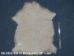 Deluxe Grade Angora Goatskin: Gallery Item - 66-ADU-G210 (Y2E)