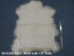 Deluxe Grade Angora Goatskin: Gallery Item - 66-ADU-G211 (Y2E)