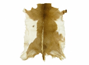 Hungarian Goatskin: Gallery Item 
