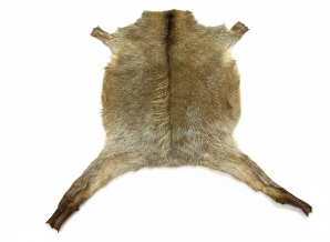 Hungarian Goatskin: Gallery Item 