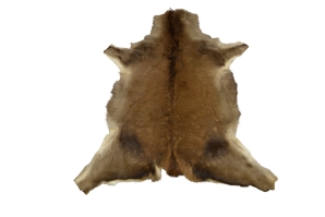 Red Deer Skin: Large: Gallery Item 