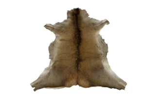 Red Deer Skin: Large: Gallery Item 