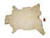 Red Deer Skin: Large: Gallery Item - 684-L-G25 (Y1HRK)