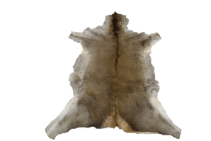 Red Deer Skin: X-Large: Gallery Item 