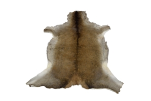 Red Deer Skin: X-Large: Gallery Item 
