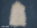 Icelandic Sheepskin: Creamy White: 90-100cm or 36" to 40": Gallery Item - 7-001-G09 (Y2GXX)