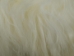 Icelandic Sheepskin: Creamy White: 90-100cm or 36" to 40": Gallery Item - 7-001-G11 (Y2GXX)