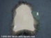 Icelandic Sheepskin: Gray: 90-100cm or 36" to 40": Gallery Item - 7-005-G07 (Y2GXX)