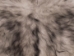 Dyed Icelandic Sheepskin: Light Silver Dark Tops:  90-100cm or 36" to 40": Gallery Item - 7-00SL-G01 (Y3KRH)