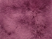 Dyed Icelandic Sheepskin: Shorn: Fuchsia: 90-100cm or 36" to 40": Gallery Item - 7-02FU-G02 (AZ)