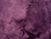Dyed Icelandic Sheepskin: Shorn: Lavender: 90-100cm or 36" to 40": Gallery Item - 7-02LV-G01 (Y1E)