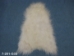 Icelandic Sheepskin: Creamy White: 110-120cm or 44" to 48": Gallery Item - 7-201-G33 (Y2GXX)