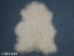 Icelandic Sheepskin: Creamy White: 110-120cm or 44" to 48": Gallery Item - 7-201-G34 (Y2GXX)