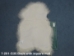 Icelandic Sheepskin: Creamy White: 110-120cm or 44" to 48": Gallery Item - 7-201-G35 (Y2GXX)