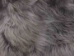 Icelandic Sheepskin Double Rug: Dyed Gray: Gallery Item - 7-R2S-00GY-G01 (Y1HRH)