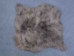 Icelandic Sheepskin Double Rug: Dyed Gray: Gallery Item - 7-R2S-00GY-G01 (Y1HRH)