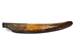 Fossil Walrus Tusk: Gallery Item - 75-G02 (Y2L)