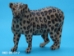 African Leopard Wood Carving: Gallery Item - 862-90-G17 (Y1F)