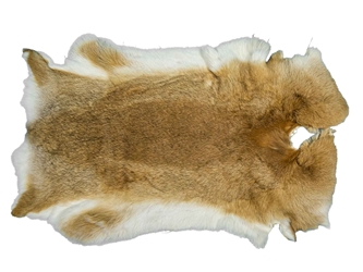 Chichesters Best Collection: Bunny Brown Czech Rabbit Skin: Gallery Item 