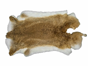 Chichesters Best Collection: Bunny Brown Czech Rabbit Skin: Gallery Item 