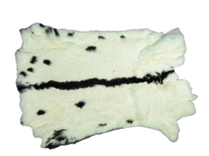 Chichester's Best Collection: Spotted Black & White Czech Rabbit Skin: Gallery Item 