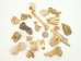One Lot of Assorted Bones & Teeth: Gallery Item - 1180-G1169 (Y2DC01)