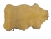 Medical Sheepskin Rug: 110-120 cm: Gallery Item - 1217-221-G1910 (Y3K)