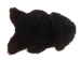 Natural Curly Swedish Sheepskin: 110-120cm: Gallery Item - 1332-210-G2085 (Y1LRS)