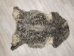 Gotland Sheepskin: Curly Gray: Gallery Item - 1332G-G4526 (Y1KRD)