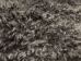 Gotland Sheepskin: Curly Gray: Gallery Item - 1332G-G4528 (Y1KRD)
