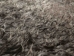Gotland Sheepskin: Curly Gray: Gallery Item - 1332G-G4529 (Y1KRD)