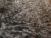 Gotland Sheepskin: Curly Gray: Gallery Item - 1332G-G4530 (Y1KRD)