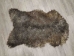 Gotland Sheepskin: Curly Gray: Gallery Item - 1332G-G4530 (Y1KRD)