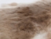 Rex Rabbit: Natural Beige: Gallery Item - 142-12-G1352 (Y2ERA)