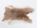 Rex Rabbit: Natural Beige: Gallery Item - 142-12-G1352 (Y2ERA)