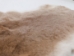Rex Rabbit: Natural Beige: Gallery Item - 142-12-G1353 (Y2ERA)