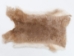 Rex Rabbit: Natural Beige: Gallery Item - 142-12-G1353 (Y2ERA)