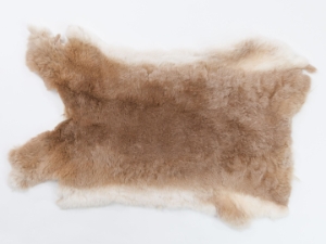 Rex Rabbit: Natural Beige: Gallery Item 