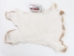 Rex Rabbit: Natural Beige: Gallery Item - 142-12-G1354 (Y2FXX)