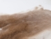 Rex Rabbit: Natural Beige: Gallery Item - 142-12-G1354 (Y2FXX)