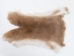 Rex Rabbit: Natural Beige: Gallery Item - 142-12-G1354 (Y2FXX)