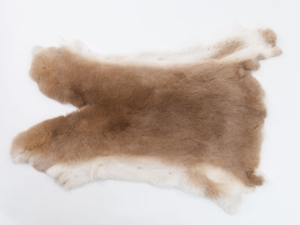 Rex Rabbit: Natural Beige: Gallery Item 