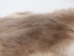Rex Rabbit: Natural Beige: Gallery Item - 142-12-G1355 (Y2FXX)